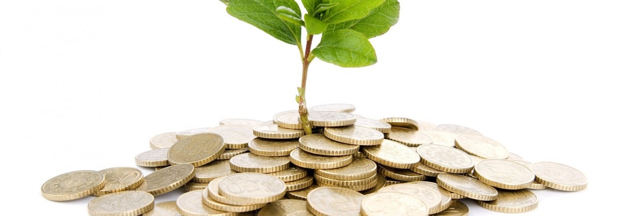 Finance and Islamic Finance Legal and Financial Consultancy Services