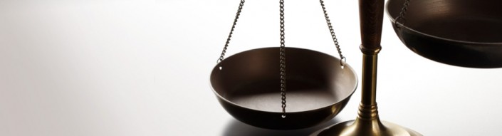 Litigation and Arbitration Legal and Financial Consultancy Services Litigation and Arbitration Legal and Financial Consultancy Services
